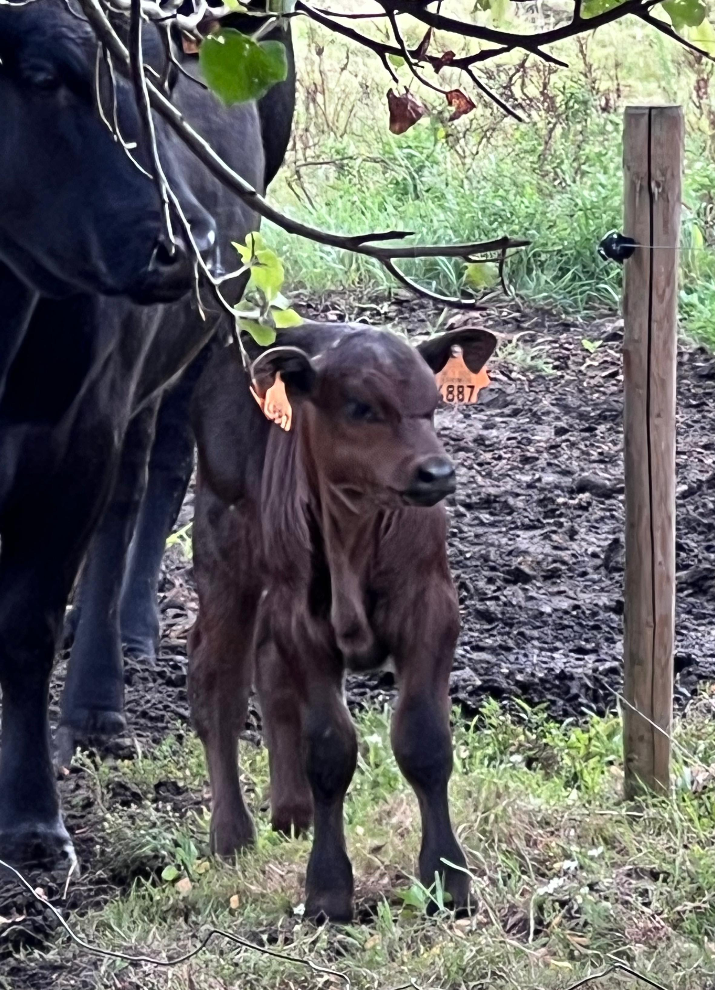 d000f503 c3dc 4419 8716 f2b56c8b57d1